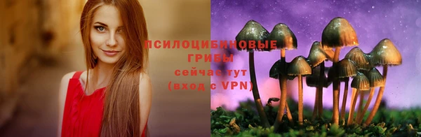 прущие грибы Белоозёрский