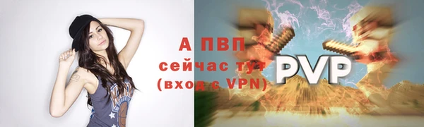 Альфа ПВП Белокуриха