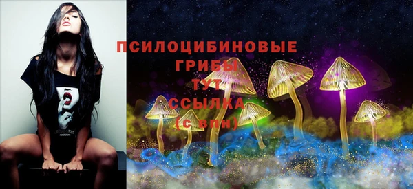 прущие грибы Белоозёрский
