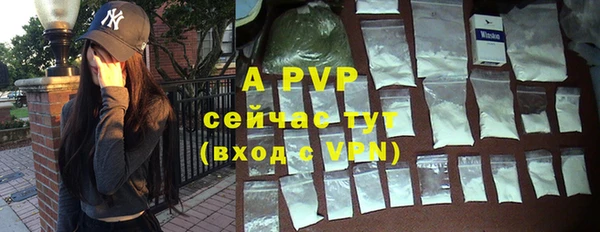 Альфа ПВП Белокуриха