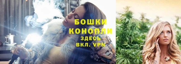 трава Богданович
