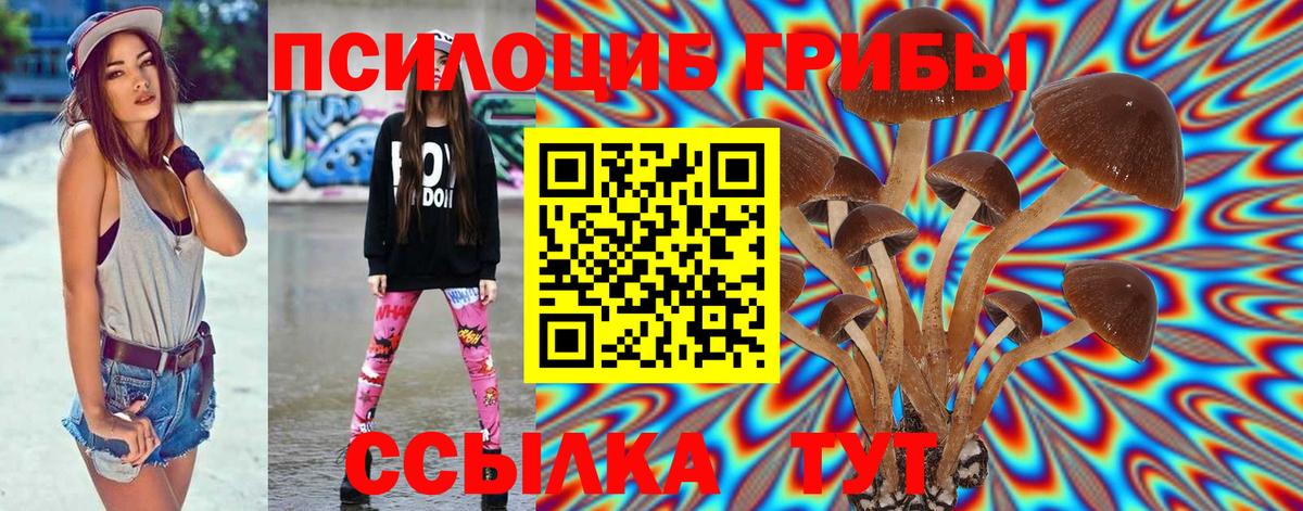 Псилоцибиновые грибы GOLDEN TEACHER Сланцы
