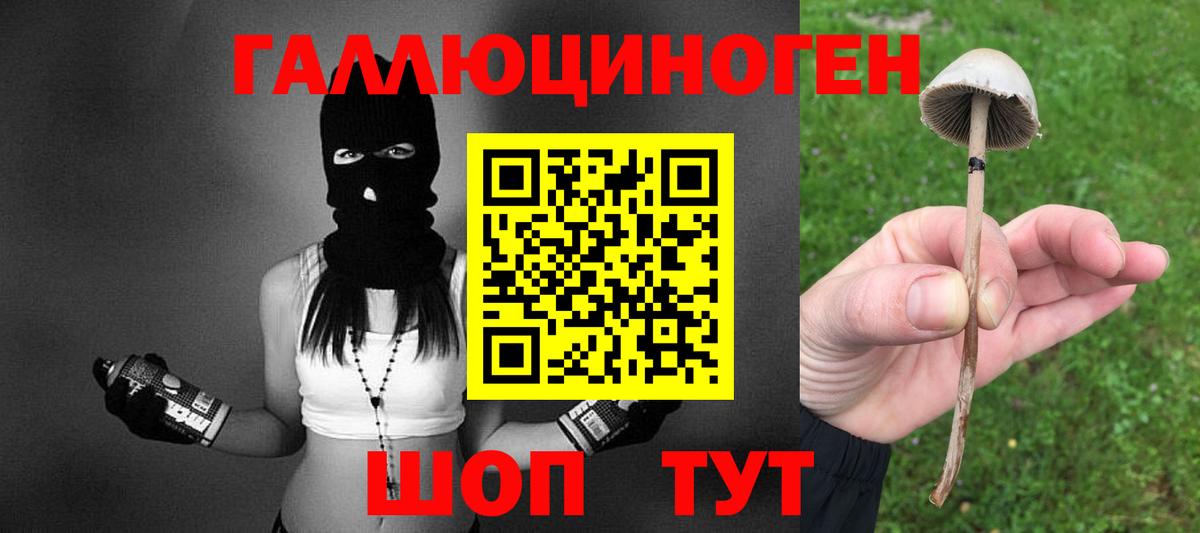 Галлюциногенные грибы Cubensis  Вход с VPN  Сланцы 